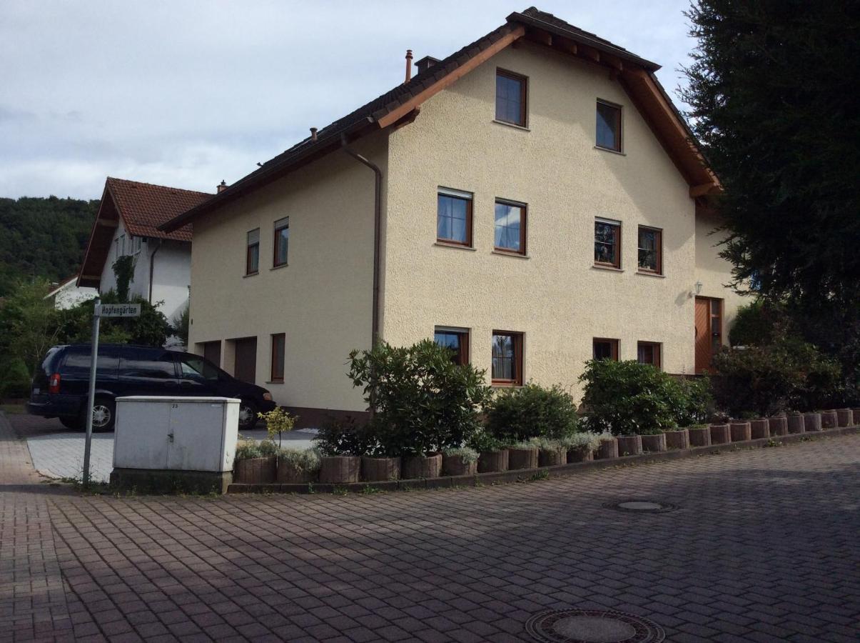 Mountain View Rooms Kindsbach Εξωτερικό φωτογραφία